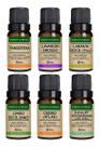 Kit 6 Óleos Essenciais 10ml - Puro E Natural