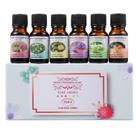 Kit 6 Oleos Essenciais Natural P/ Difusor 100% Natural