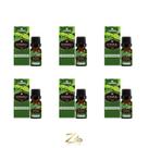 Kit 6 Óleos Essenciais Patchouli 100% Puro 10ml - Chamed