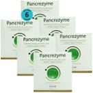 Kit 6 Pancrezyme Suplemento P/ Cães e Gatos 2,8g C/ 30 Sachê- Inovet