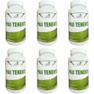 Kit 6 Pau Tenente - Copo Medicinal - Life Natural - 60 Cápsulas