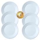 Kit 6 Pratos Rasos Convencional Porcelana 1ª Schmidt Oferta