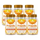 Kit 6 Própolis Extrato Seco 60 Cápsulas 550mg Chamel Kit 6 Própolis Extrato Seco 60 Cápsulas 550mg Chamel
