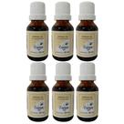 Kit 6 Própolis L-30 Aromatizante Bucal 20Ml - Essenza Kit 6 Própolis L-30 Aromatizante Bucal 20Ml - Essenza