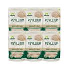 Kit 6 Psyllium sem Glúten 100g Vittalin Kit 6 Psyllium sem Glúten 100g Vittalin