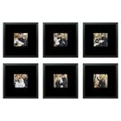 Kit 6 Quadros Porta Retrato Foto 10x10 Paspatur Preto 20x20
