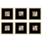 Kit 6 Quadros Porta Retrato Foto 10x10 Paspatur Preto 20x20