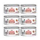 Kit 6 Ração Úmida Royal Canin Recovery Lata Cães E Gato 195g