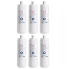 Kit 6 Refil Filtro Purificador Ibbl C+5 Fr600 Expert Evolux