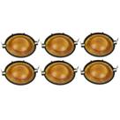 Kit 6 Reparo Driver Selenium D200 Corneta 8 Ohms Qsd20 100w