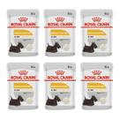 Kit 6 Royal Canin Sachê Dermaconfort Wet Para Cães - 85 G