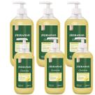 Kit 6 Sabonete Gel Cucina Antiodores 500 ml Hidramais