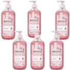 kIT 6 Sabonete Gel Flor de Cerejeira Renovação e Energia 500 ml Hidramais