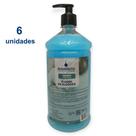 Kit 6 Sabonete Líquido Perfumado Cheiroso 1 Litro Hidratante PH Antialérgico Senalândia - Envio Já