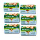 Kit 6 Sabonetes em Barra Palmolive Naturals Nutrição Intensiva Com Karite e Vitamina E 85g