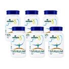 Kit 6 Spirulina 450mg 100 Cáp Suplemento Alimentar Chamel