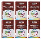 Kit 6 Supra Vitamina B12 60 Cápsulas - Herbamed
