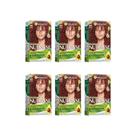 Kit 6 Tintura Nutrisse Garnier 666 Pimenta Malagueta