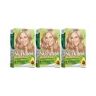 Kit 6 Tintura Nutrisse Garnier 81 Louro Paixao Nacional