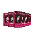 Kit 6 Tinturas Biocolor Preto 1.0