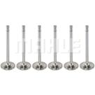 Kit 6 Válvula admissão Scania L 140 1975 a 1978 Metal Leve