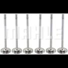 Kit 6 Válvula admissão Scania P 114 1996 a 2012 Metal Leve Kit 6 Válvula admissão Scania P 114 1996 a 2012 Metal Leve