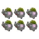 Kit 6 Vasinhos Chachepot, Para Plantas e Suculentas Elefante