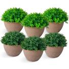 Kit 6 Vasos Decorativos Planta Artificial Estocasa Buxinho Realista Decoração