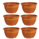 Kit 6 Vasos G Planta Cacto Suculenta Rosa Deserto Flores