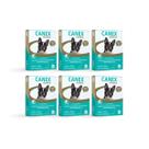 Kit 6 Vermífugo Canex Giárdia Cães 10kg 4 Comprimidos Ceva