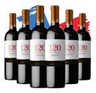 Kit 6 Vinho 120 Reserva Especial Carmenere 750ml- Chileno