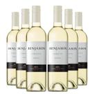 KIT 6 Vinho Argentino Branco Benjamin Torrontés, 750ml