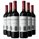 KIT 6 Vinho Argentino Trivento Reserve Cabernet-Malbec 750ml