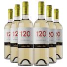 KIT 6 Vinho Chileno 120 Reserva Especial Sauvignon Blanc
