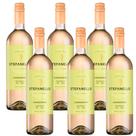 Kit 6 Vinho Stefanello Chardonnay 750ml