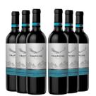 KIT 6 Vinho Tinto Argentino Trapiche Vineyards Cabernet Sauvignon, 750ml