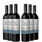 KIT 6 Vinho Tinto Argentino Trapiche Vineyards Malbec, 750ml