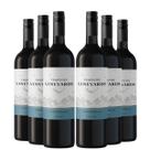 KIT 6 Vinho Tinto Argentino Trapiche Vineyards Tempranillo, 750ml