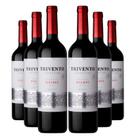 KIT 6 Vinho Tinto Argentino Trivento Reserve Malbec, 750ml