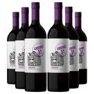 KIT 6 Vinho Tinto Chileno ARRIVO 31 Carménère, 750ml