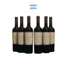 Kit 6 Vinhos Argentinos D.V Cabernet Sauvignon Malbec 750ml