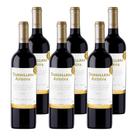 Kit 6 Vinhos Cordillera Andina Syrah Tinto Chile 750ml Kit 6 Vinhos Cordillera Andina Syrah Tinto Chile 750ml