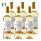 Kit 6 Vinhos Le Casine Pinot Grigio Branco Itália 750ml