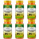 KIT 6 VITAMINA B5 ÁCIDO PANTOTÊNICO - 60 Cápsulas 500mg UNILIFE