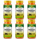 KIT 6 VITAMINA B6 PIRIDOXINA - 60 Cápsulas 500mg UNILIFE
