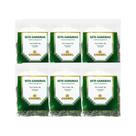 Kit 6x Chá Pacote Sete Sangrias 30g - CHAMEL