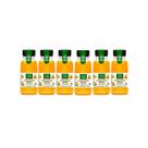 Kit 6x Suco de Laranja Integral Garrafinha Pet 250ml Campo Largo Kit 6x Suco de Laranja Integral Garrafinha Pet 250ml Campo Largo