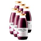 Kit 6X: Suco de Uva Integral Sem Açúcar Villa Piva 300ml Kit 6X: Suco de Uva Integral Sem Açúcar Villa Piva 300ml