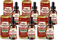 Kit 6x Tri Própolis (Verde, Vermelha e Marrom) Em Gotas 20ml Flora Nativa