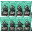 Kit 8 Adubin 50g Adubo Para Cactos E Suculentas